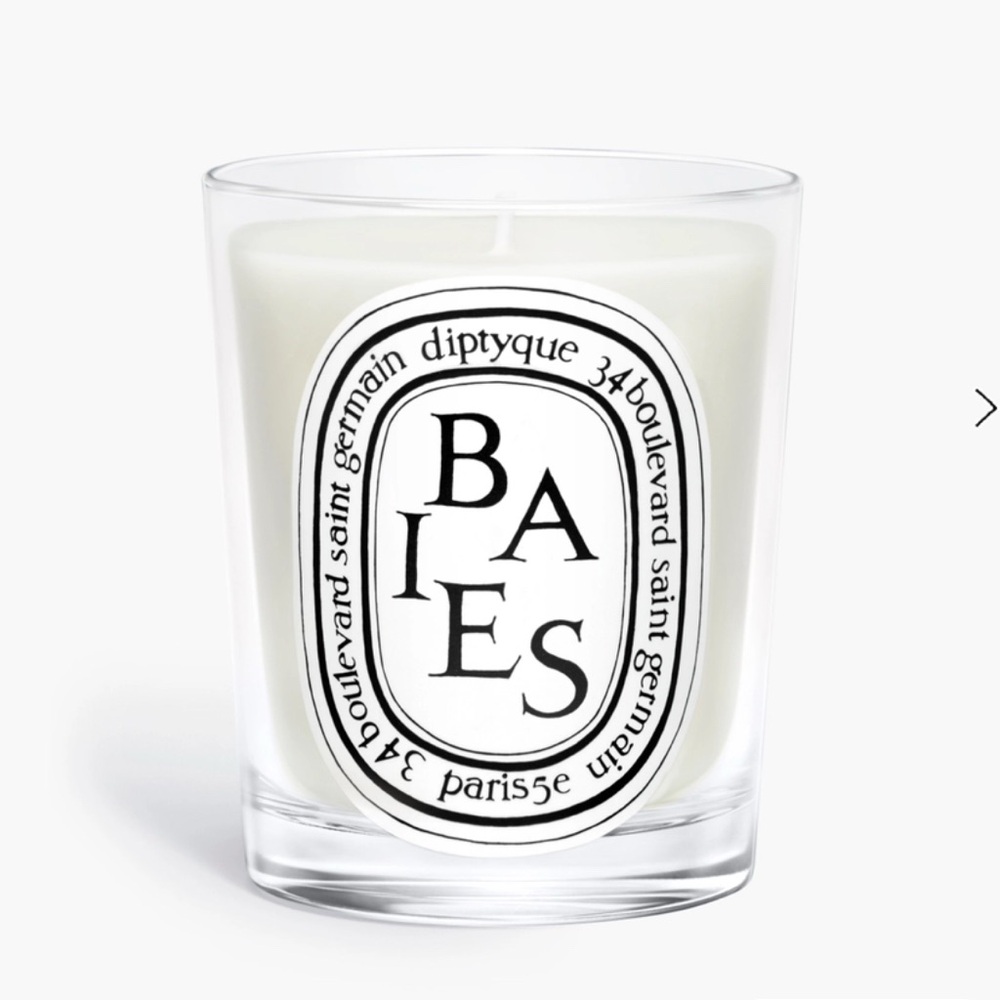 NWT Diptyque Baies Classic Candle